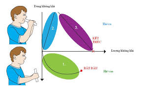Ba bước thực hiện đo hô hấp ký