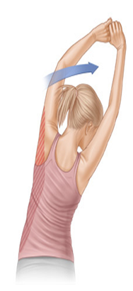 Căng cơ lưng rộng