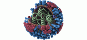 Phân biệt giữa cảm lạnh và cảm cúm