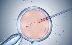 Things you need to know about in-vitro fertilization.